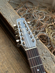Seagull S12 Concert Hall 12/String