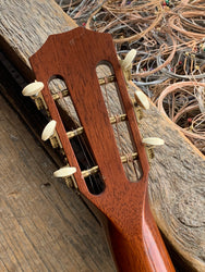 Taylor 2008 GC Ltd Brazilian Rosewood