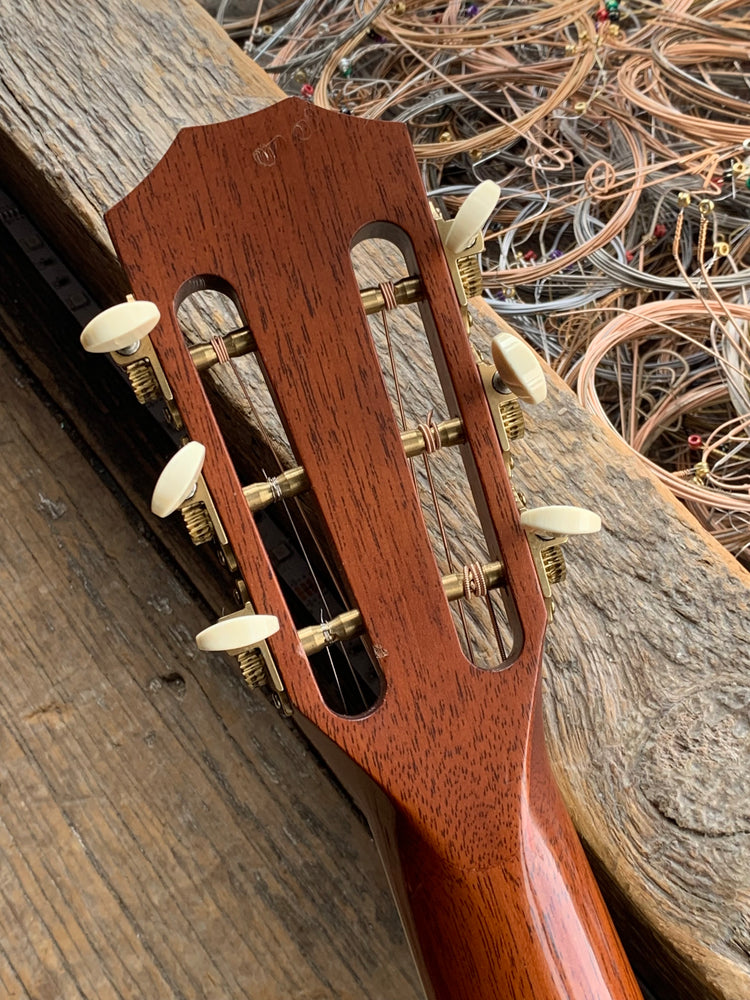 Taylor 2008 GC Ltd Brazilian Rosewood