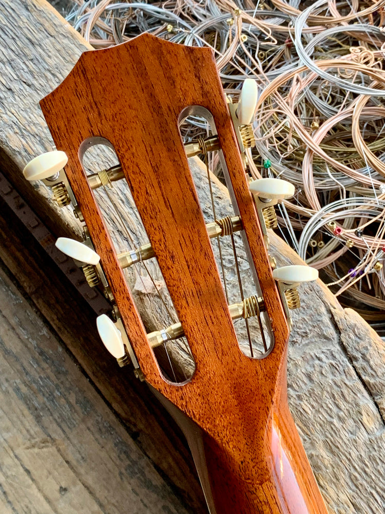 Taylor 12/Fret Mahogany Grand Concert