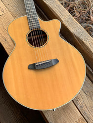 Breedlove Premier Auditorium Rosewood