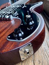 Gibson Les Paul Special Tribute DC