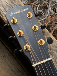 Breedlove Jeff Bridges Signature USA Concerto