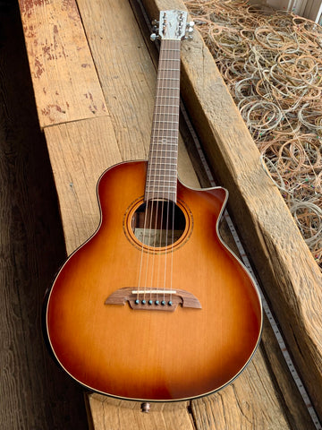 Alvarez LJE95 Little Jumbo