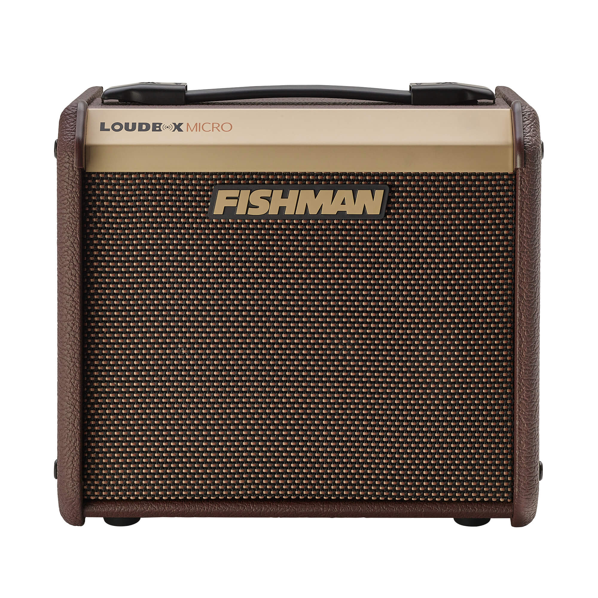 Fishman Loudbox MICRO Acoustic Amplifier